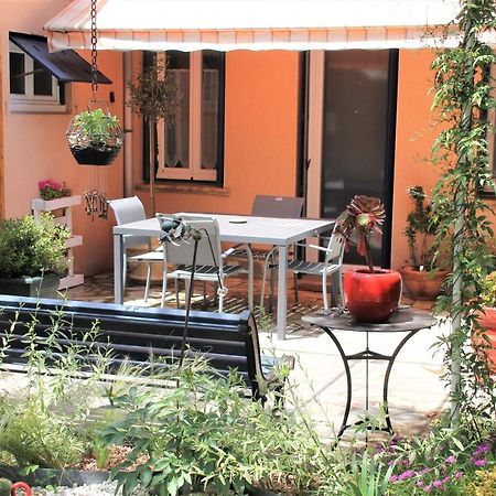 Maison Toulousaine Avec Jardin تولوز المظهر الخارجي الصورة