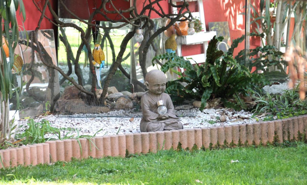 Maison Toulousaine Avec Jardin تولوز المظهر الخارجي الصورة