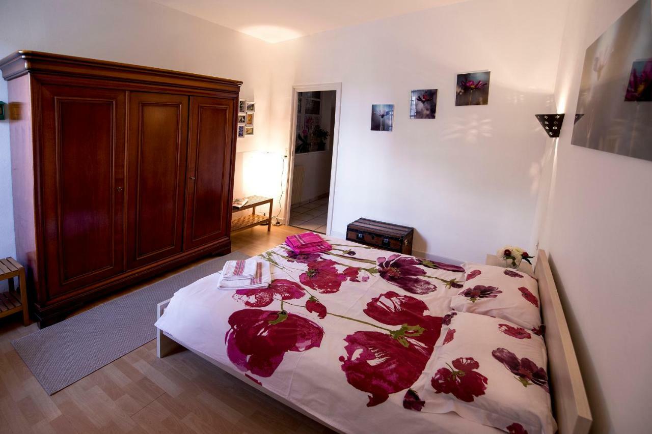 Maison Toulousaine Avec Jardin تولوز المظهر الخارجي الصورة